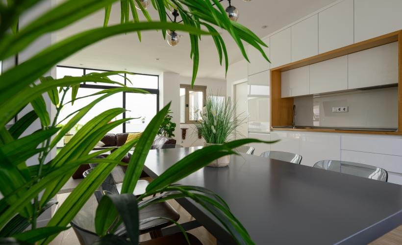 apartment from day apartment for rent for companies in Las Palmas de Gran Canaria 